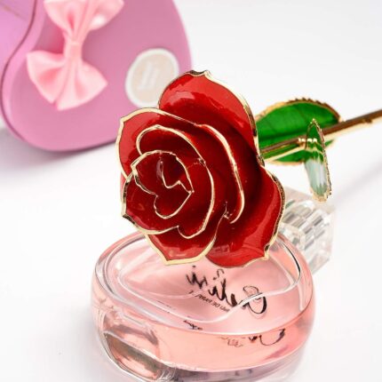 A single MNIEYU 24K gold dipped red rose standing upright on a clear display stand, inside an elegant gift box.