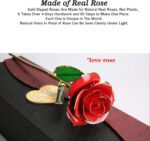 A single MNIEYU 24K gold dipped red rose standing upright on a clear display stand, inside an elegant gift box.