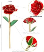 A single MNIEYU 24K gold dipped red rose standing upright on a clear display stand, inside an elegant gift box.
